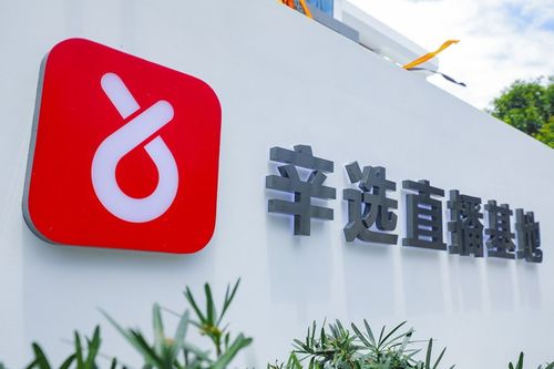 辛巴辛有志 以強大供應鏈體系構筑辛選護城河，賦能教育咨詢服務新生態